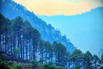 8 Days Jim Corbett, Ranikhet, Kaushani, Binsar, Nainital, Bhimtal & Mukteshwar Tour